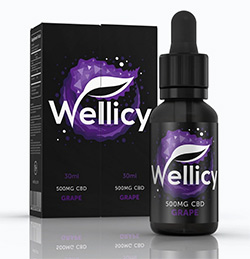 wellicy CBD oil reviews